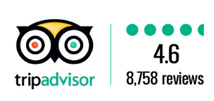 Tripadvisor Reviews